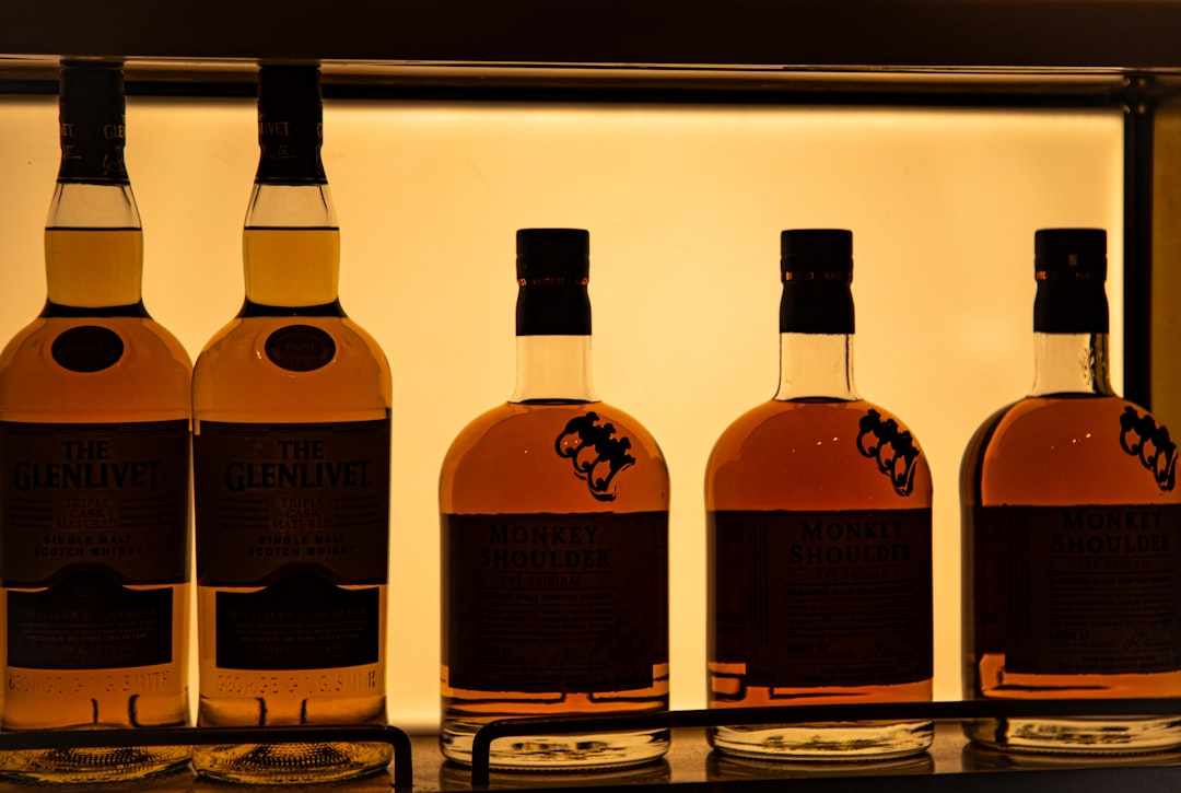 Impact schimbări climatice pe investiții